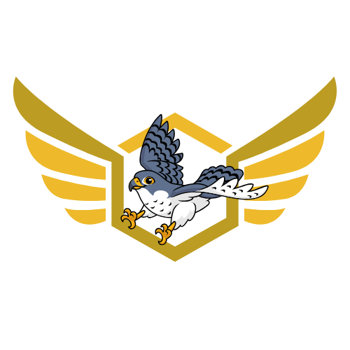 Falmouth Falcons' Quidditch team logo