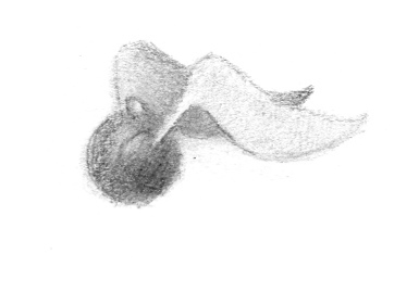 HealthyishObsession Logo